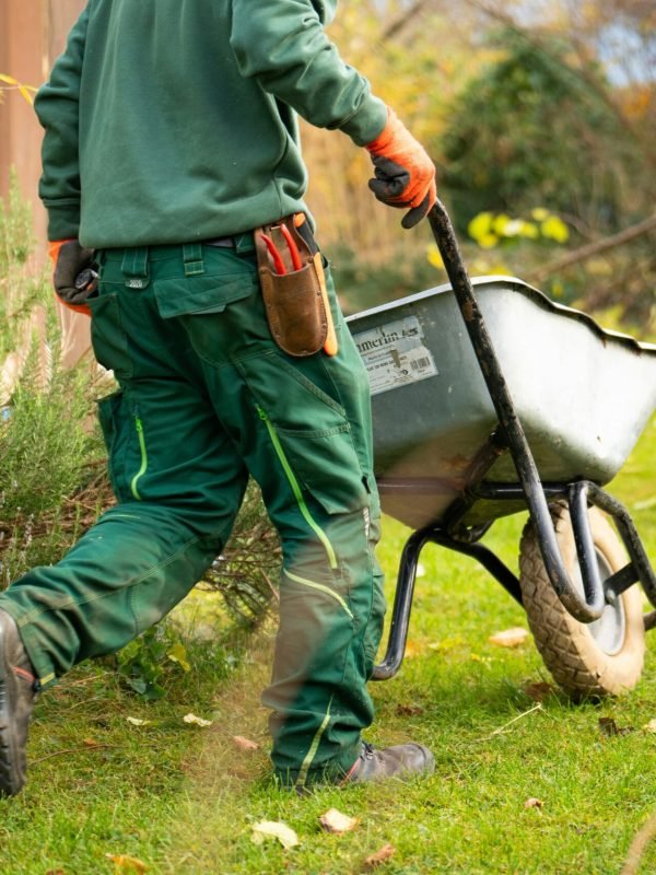 fraem-gmbh-LVJnIiIeyO0-unsplash fraem-gmbh-LVJnIiIeyO0-unsplash